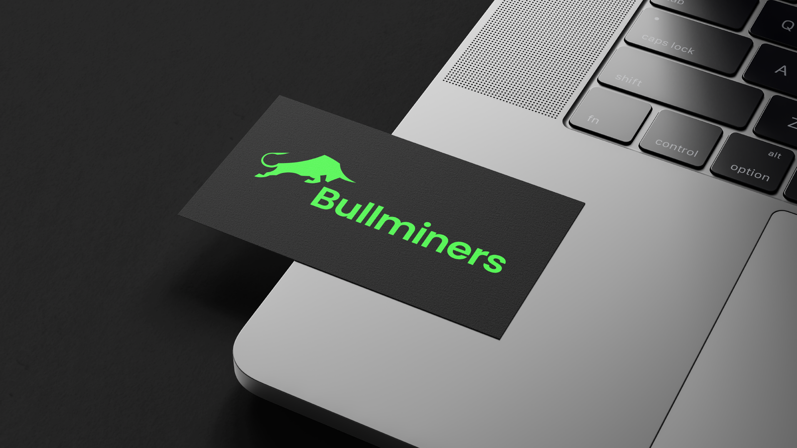bullminers (9)